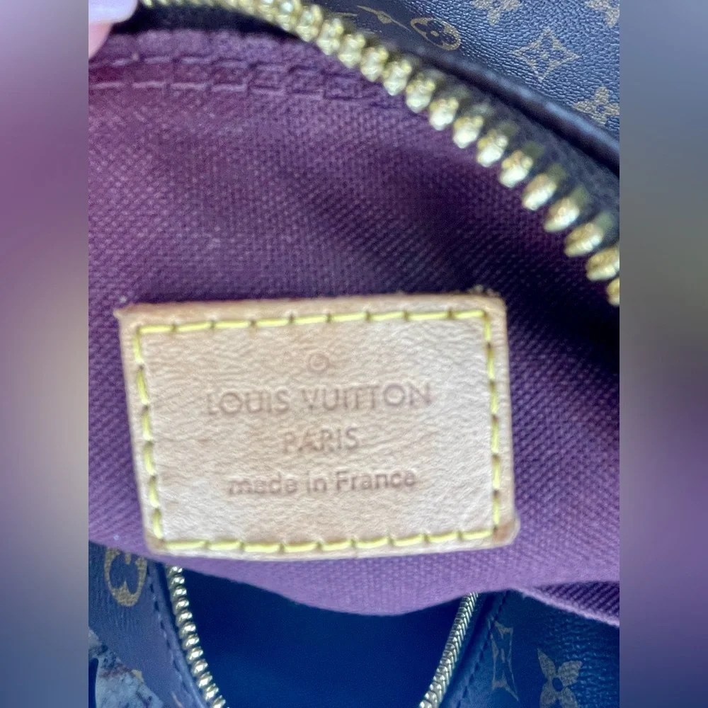Louis Vuitton classic louis